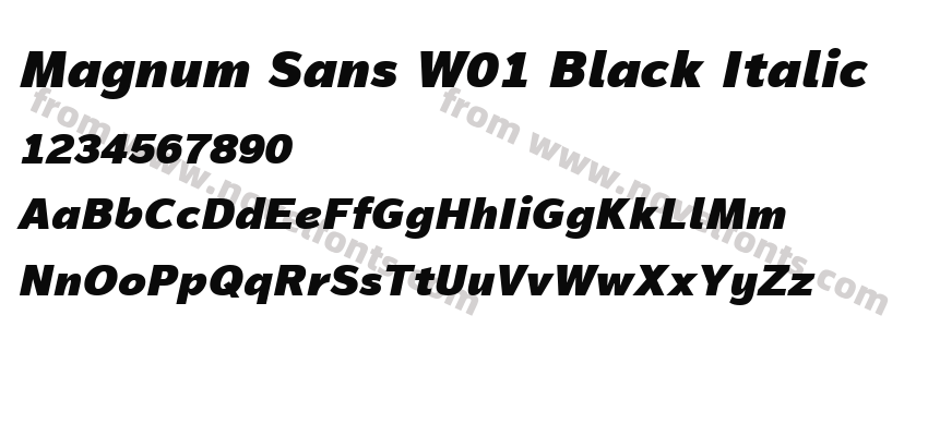 Magnum Sans W01 Black ItalicPreview