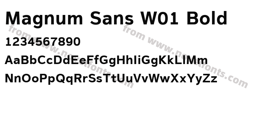 Magnum Sans W01 BoldPreview
