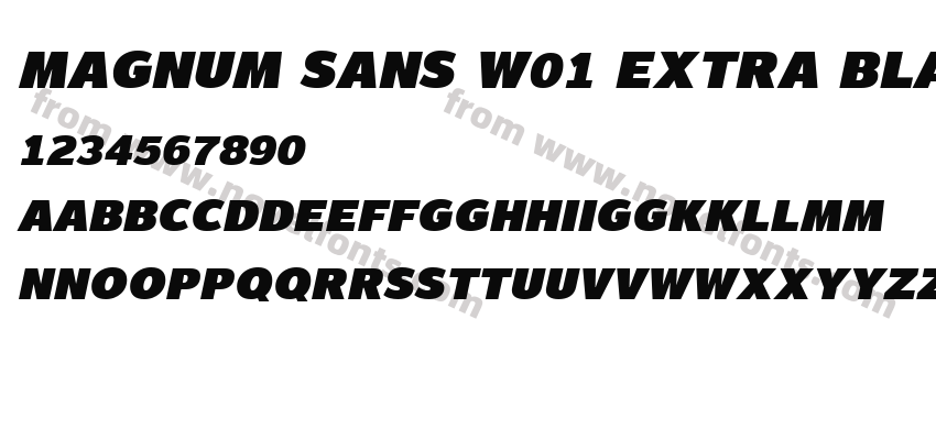 Magnum Sans W01 Extra Black ItPreview