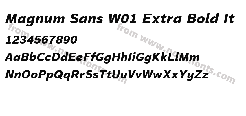 Magnum Sans W01 Extra Bold ItPreview