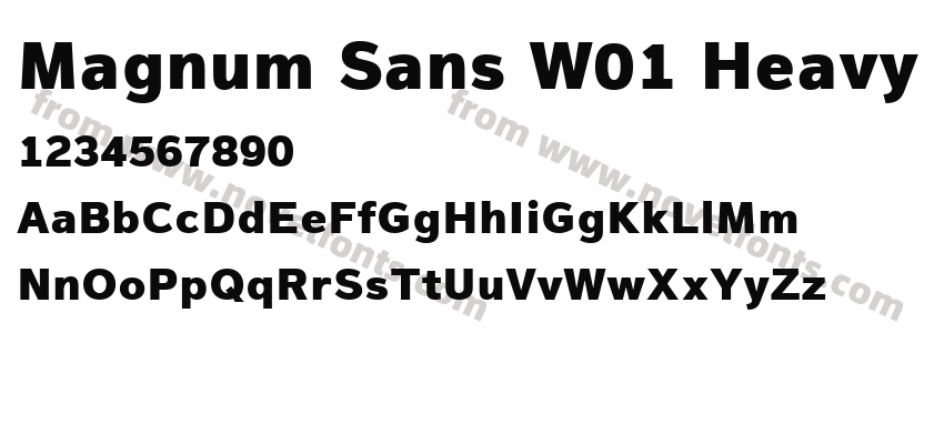 Magnum Sans W01 HeavyPreview