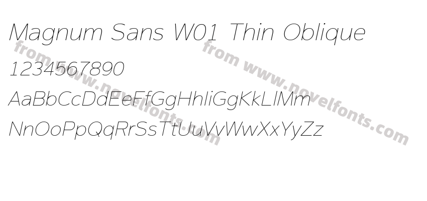 Magnum Sans W01 Thin ObliquePreview