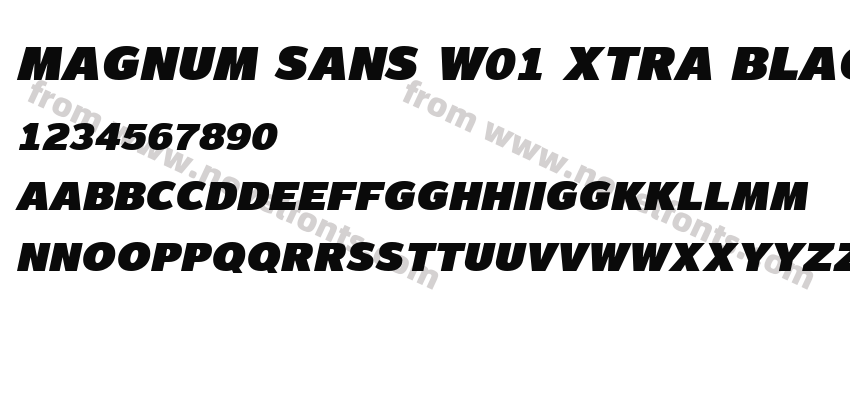 Magnum Sans W01 Xtra Black OblPreview