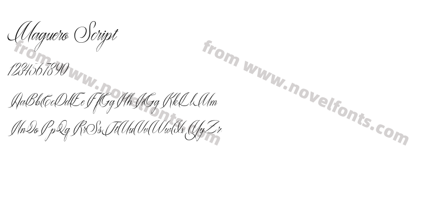 Maguero ScriptPreview