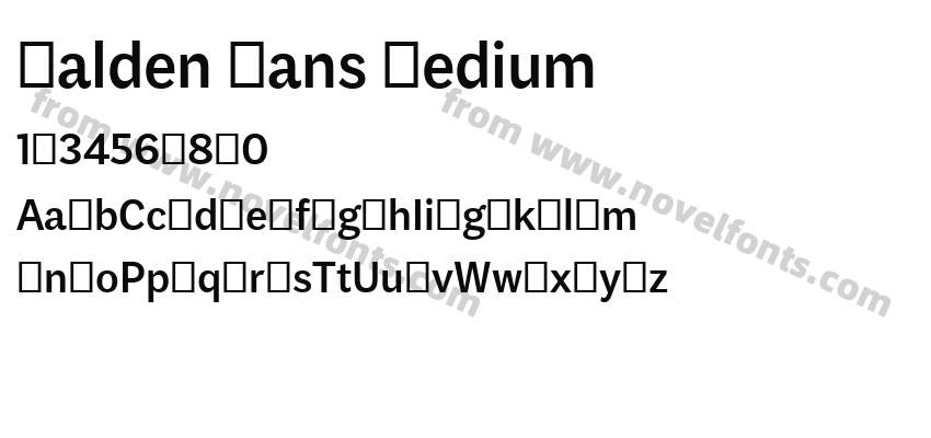 Malden Sans MediumPreview