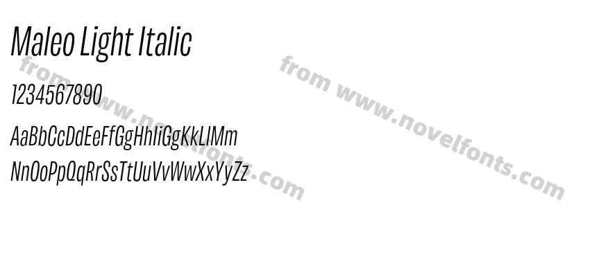 Maleo Light ItalicPreview