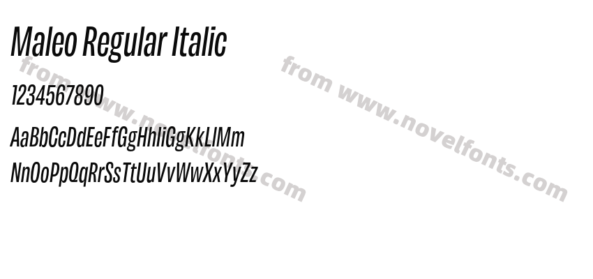Maleo Regular ItalicPreview