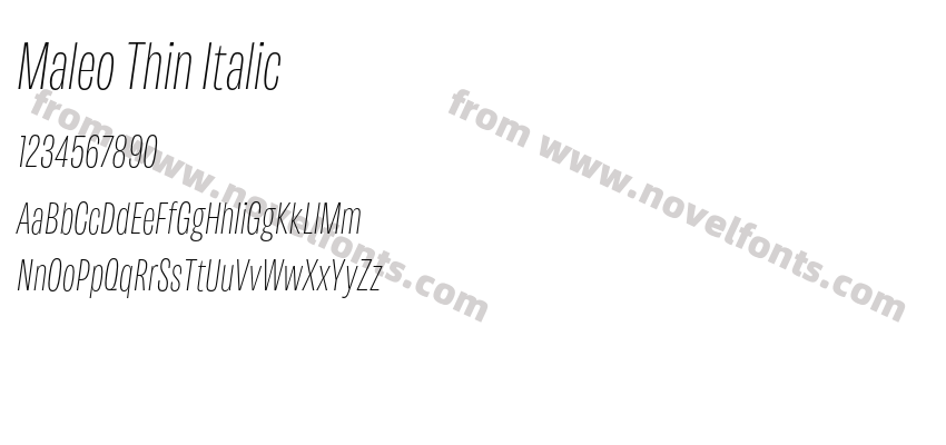 Maleo Thin ItalicPreview