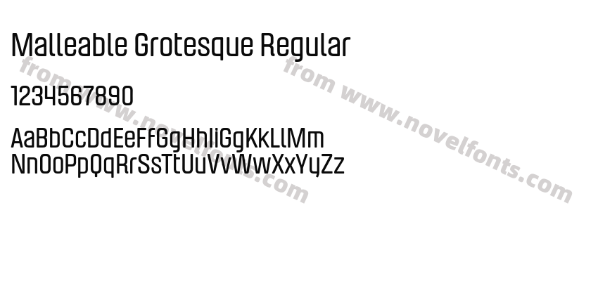 Malleable Grotesque RegularPreview