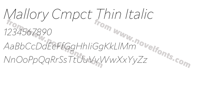 Mallory Cmpct Thin ItalicPreview