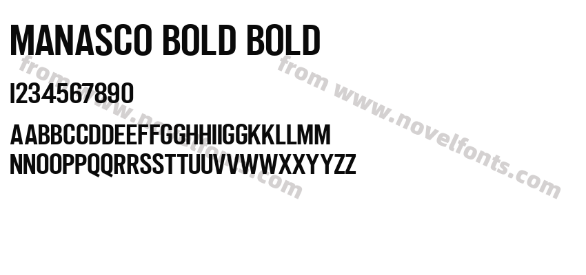 Manasco Bold BoldPreview