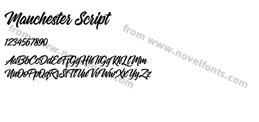 Manchester ScriptPreview