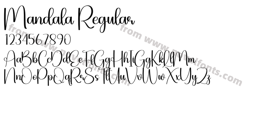 Mandala RegularPreview