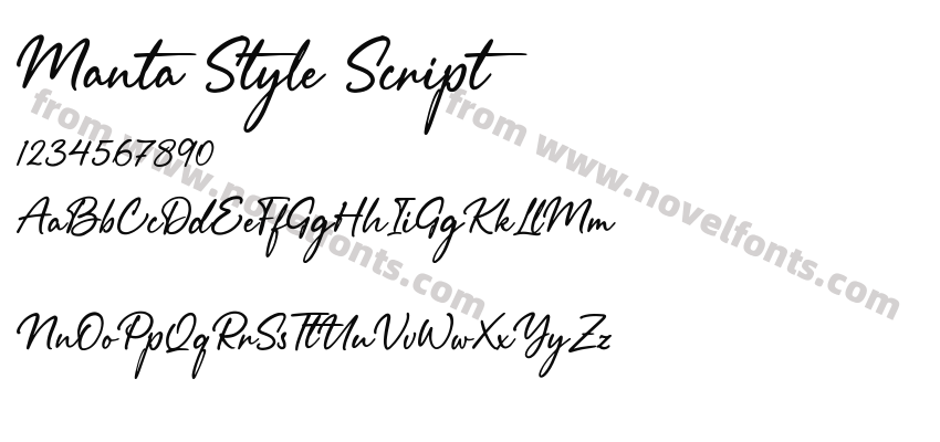 Manta Style ScriptPreview