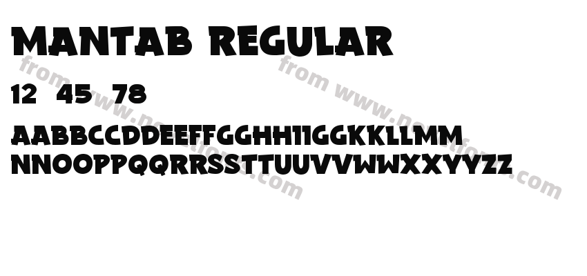 Mantab RegularPreview