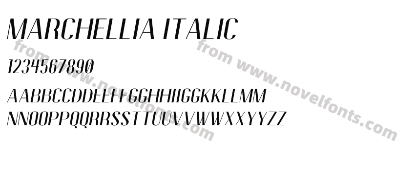 Marchellia ItalicPreview