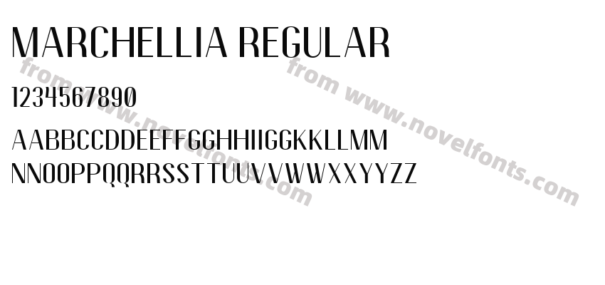 Marchellia RegularPreview