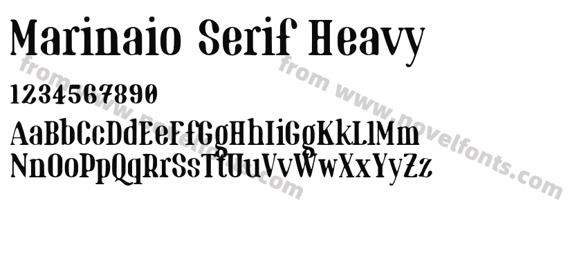 Marinaio Serif HeavyPreview