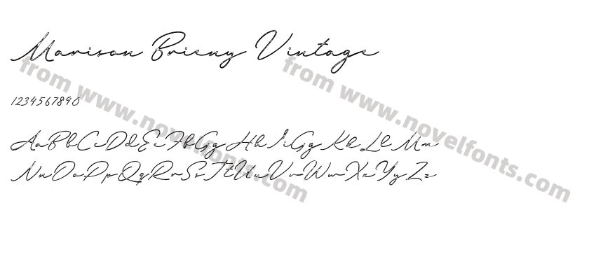 Marison Brieny VintagePreview