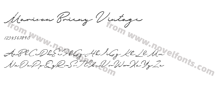 Marison Brieny VintagePreview