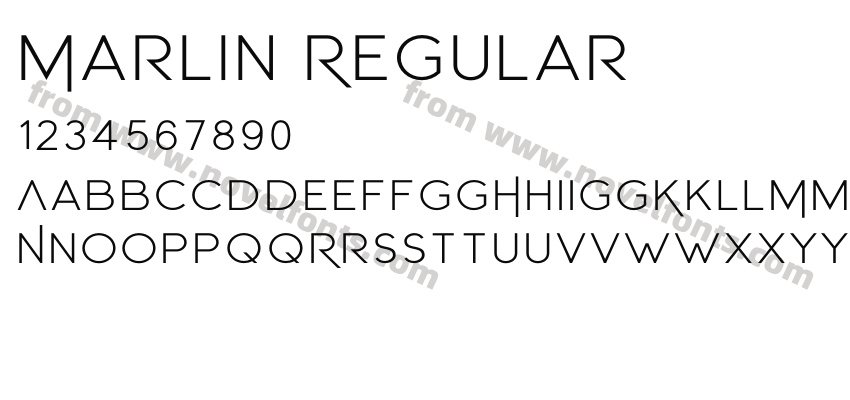 Marlin RegularPreview