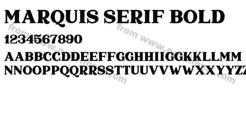 Marquis Serif BoldPreview