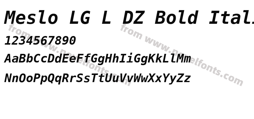 Meslo LG L DZ Bold ItalicPreview