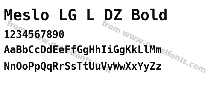 Meslo LG L DZ BoldPreview