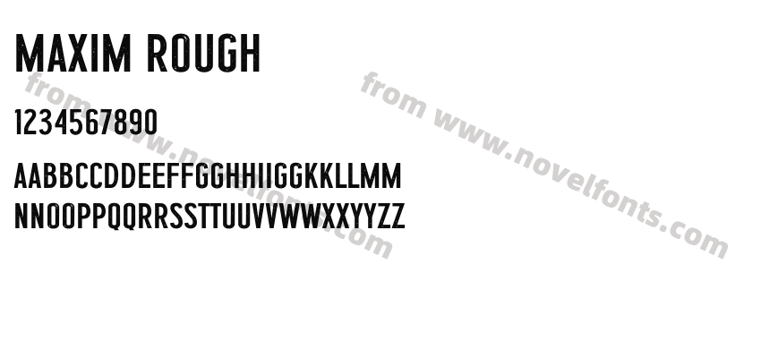 Maxim RoughPreview