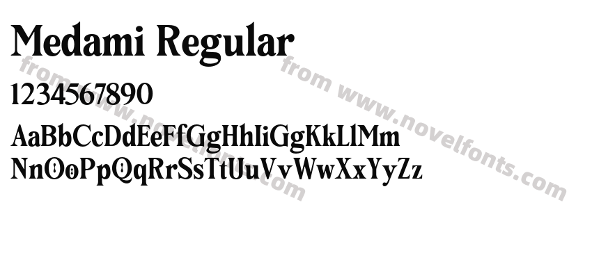 Medami RegularPreview