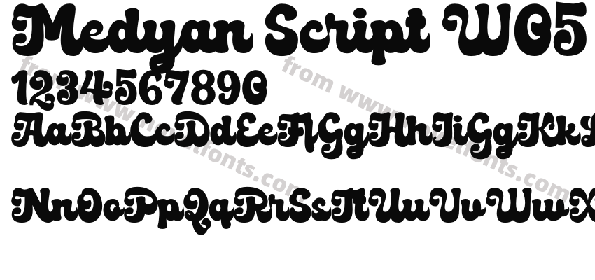 Medyan Script W05 RegularPreview