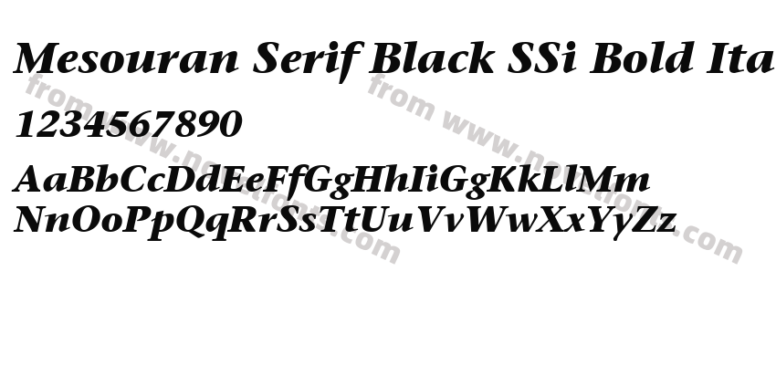 Mesouran Serif Black SSi Bold ItalicPreview