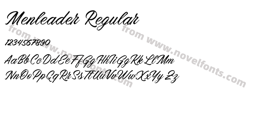 Menleader RegularPreview