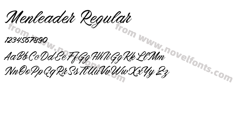 Menleader RegularPreview