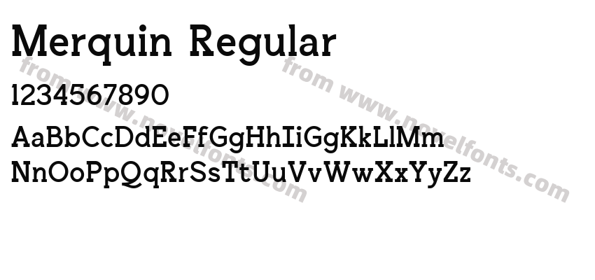 Merquin RegularPreview