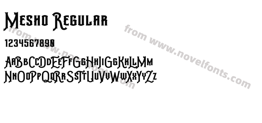 Mesho RegularPreview