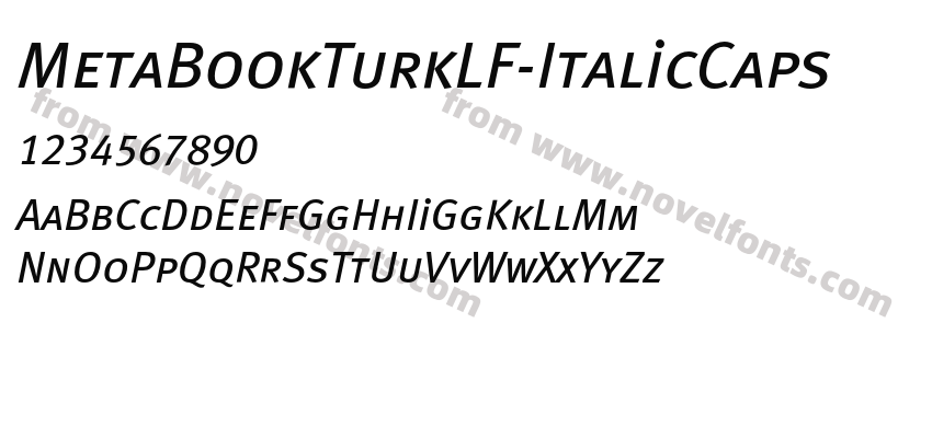 MetaBookTurkLF-ItalicCapsPreview