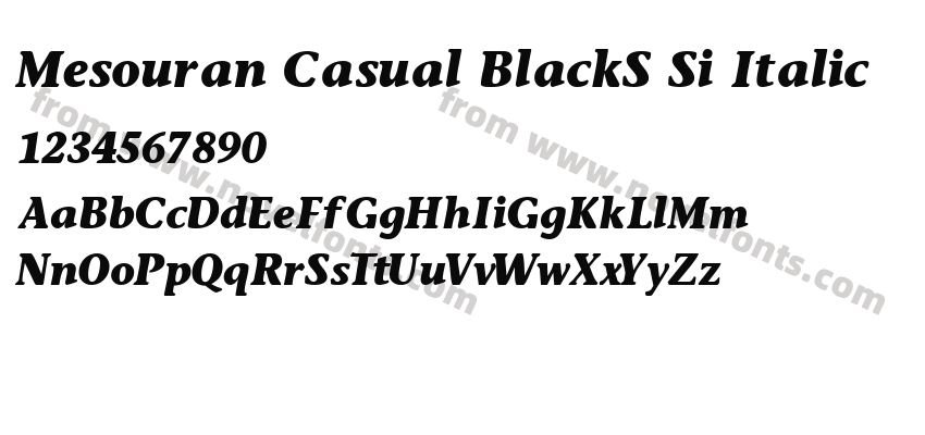 Mesouran Casual BlackS Si ItalicPreview