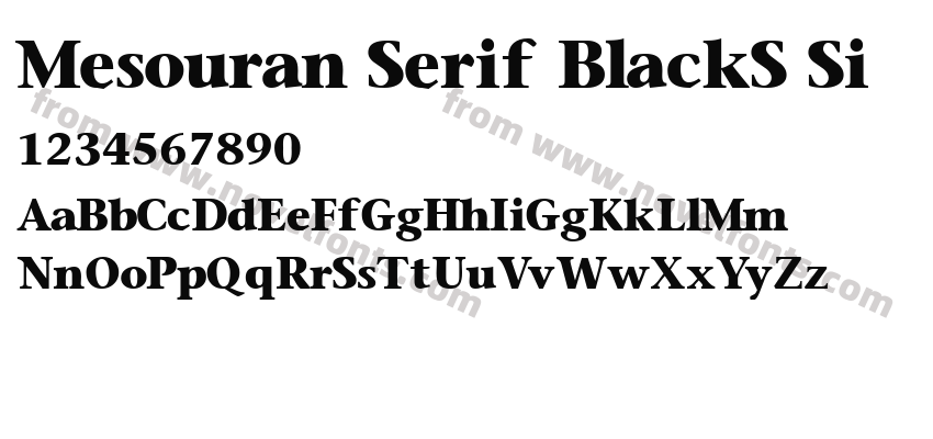 Mesouran Serif BlackS SiPreview