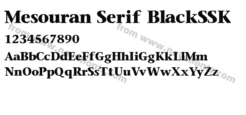 Mesouran Serif BlackSSKPreview