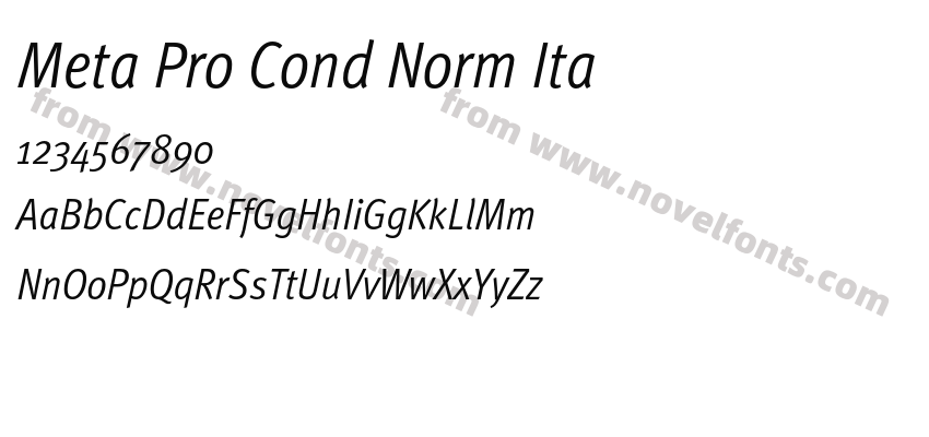 Meta Pro Cond Norm ItaPreview