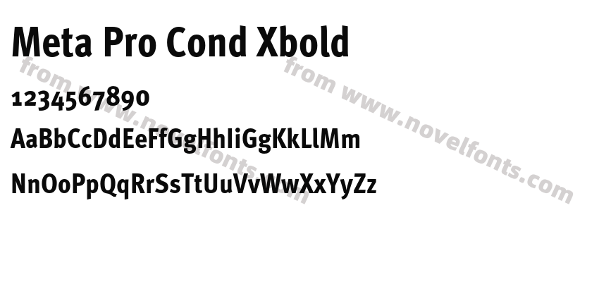Meta Pro Cond XboldPreview