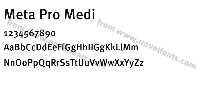 Meta Pro MediPreview