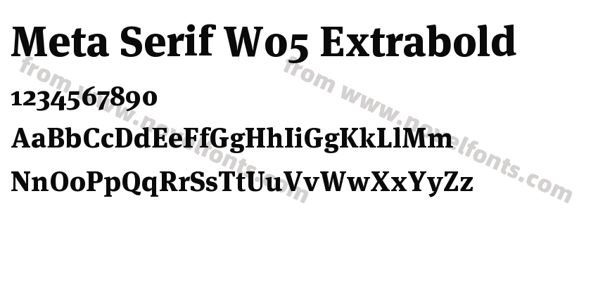 Meta Serif W05 ExtraboldPreview