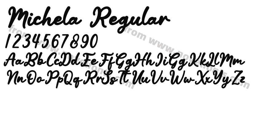 Michela RegularPreview