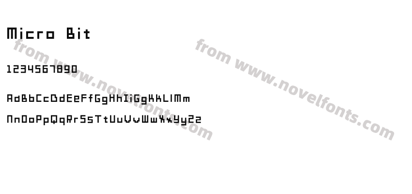 Micro BitPreview