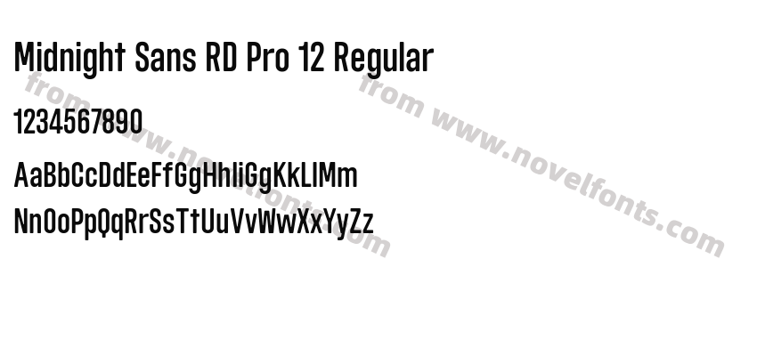 Midnight Sans RD Pro 12 RegularPreview