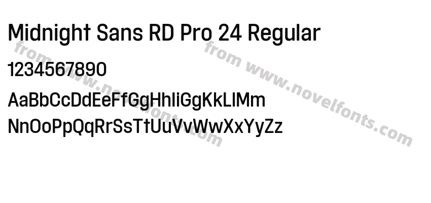 Midnight Sans RD Pro 24 RegularPreview