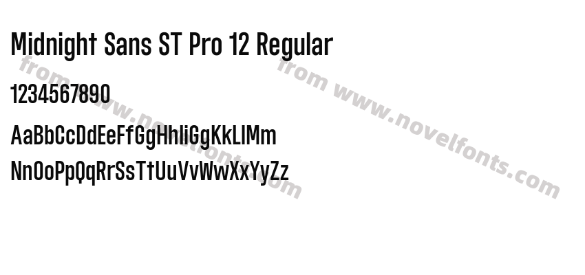 Midnight Sans ST Pro 12 RegularPreview