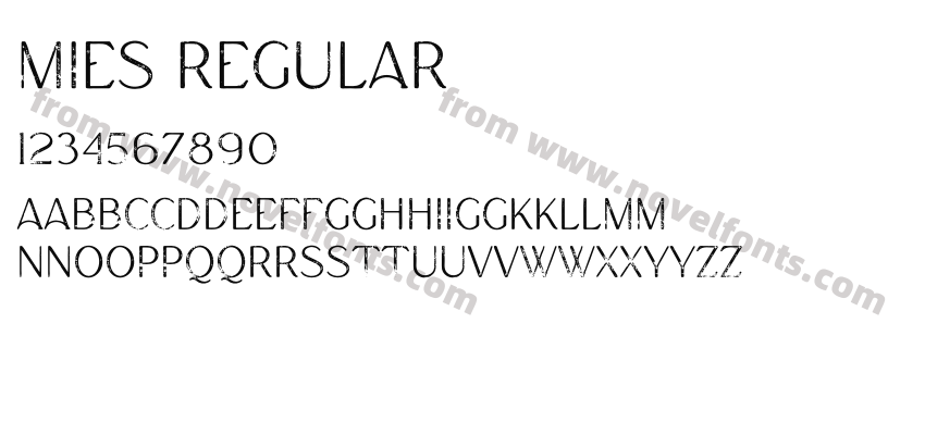Mies RegularPreview